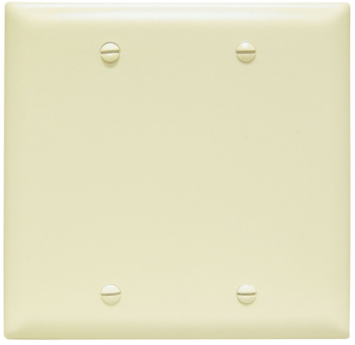 Ivory Blank 2 Gange Cover Plate